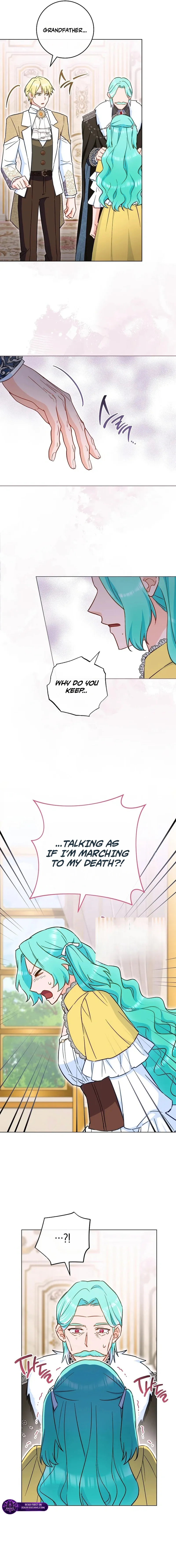 The Young Lady Is A Royal Chef Chapter 217 page 5 - 