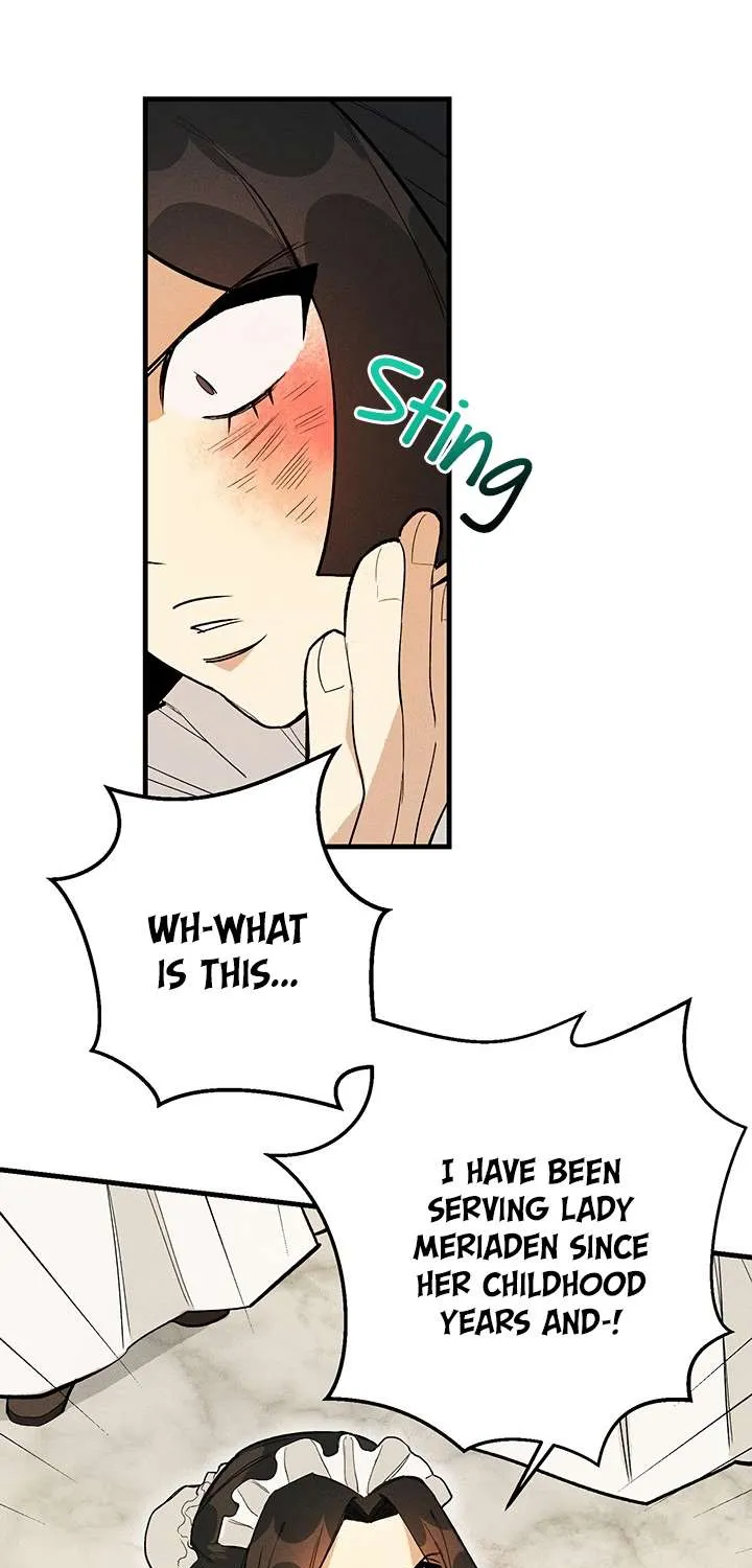 The Young Lady Is A Royal Chef Chapter 3 page 20 - 