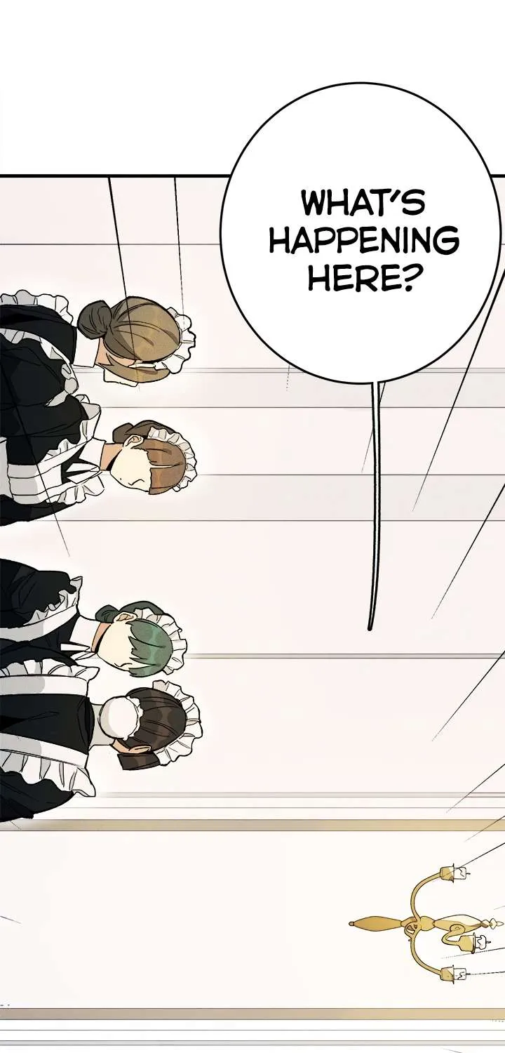 The Young Lady Is A Royal Chef Chapter 3 page 5 - 