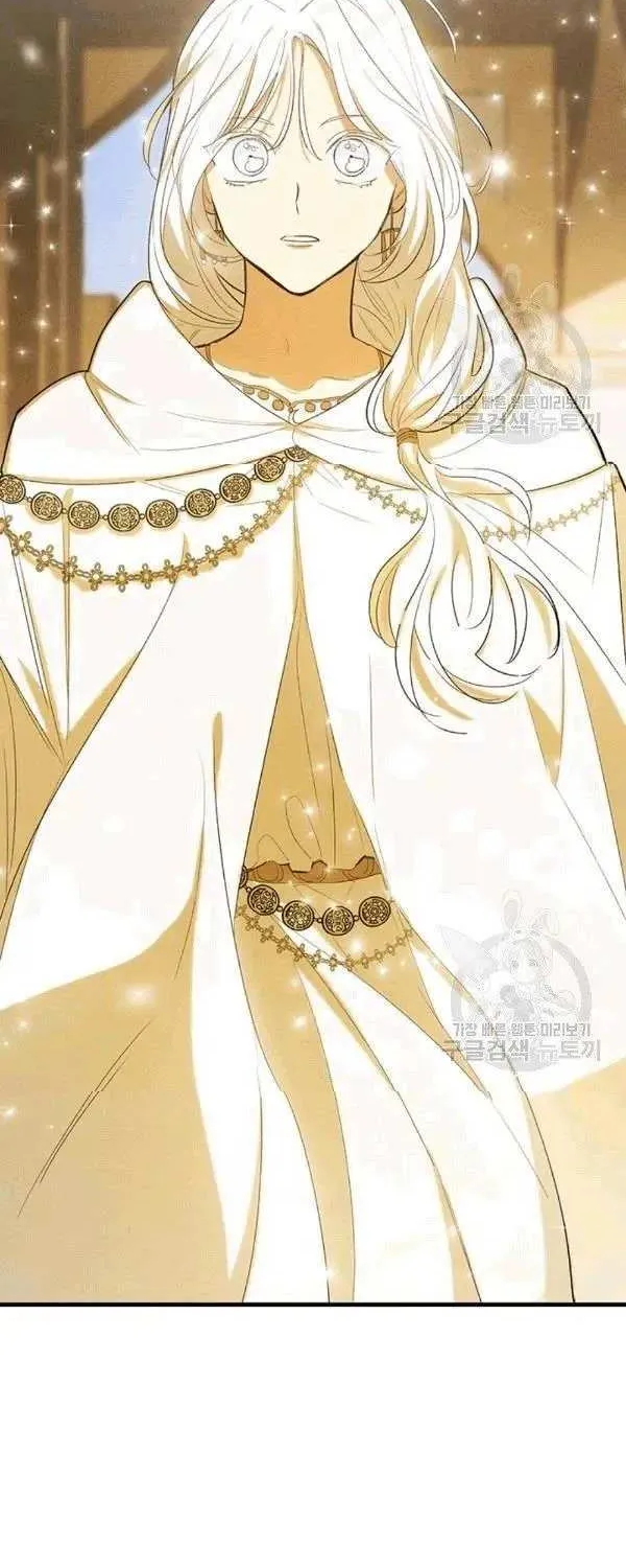 The Young Lady Is A Royal Chef Chapter 39.5 page 15 - 