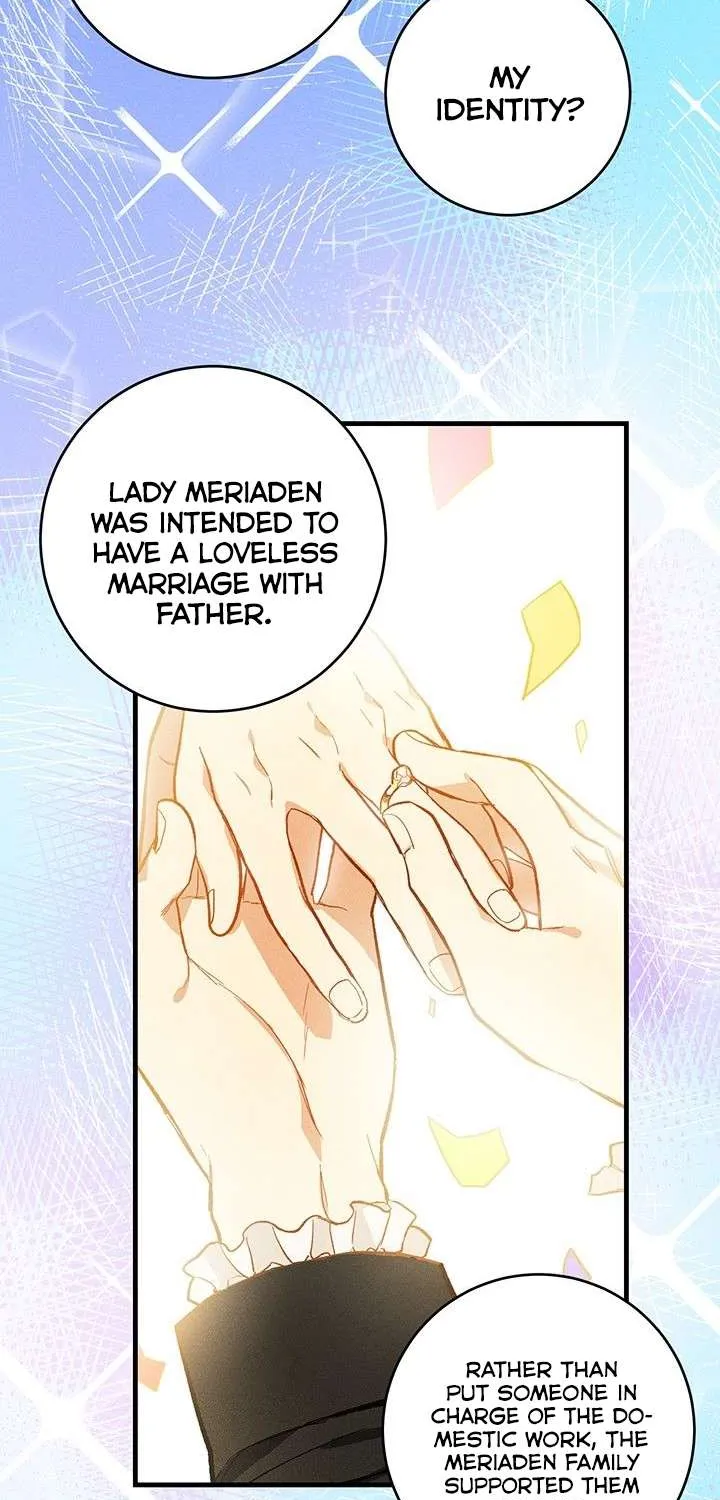 The Young Lady Is A Royal Chef Chapter 4 page 27 - 