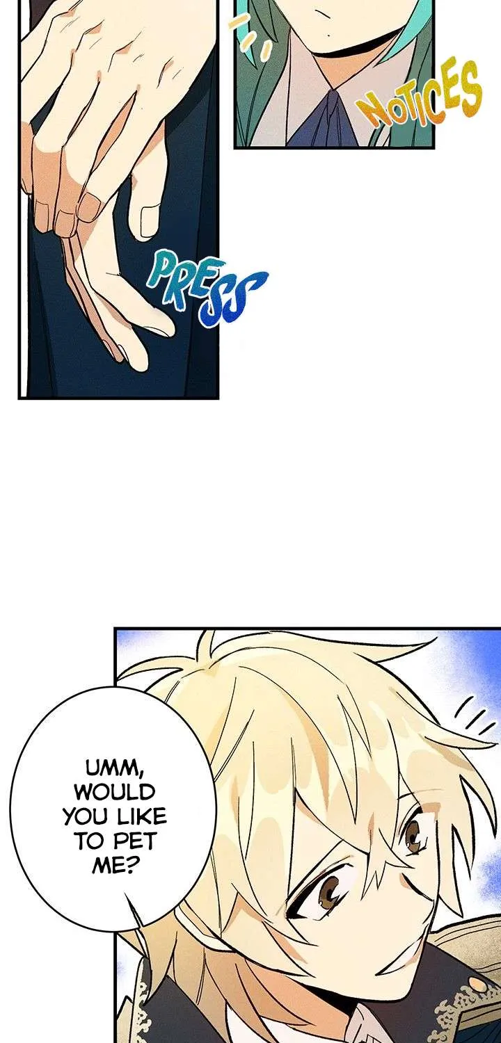 The Young Lady Is A Royal Chef Chapter 4 page 52 - 