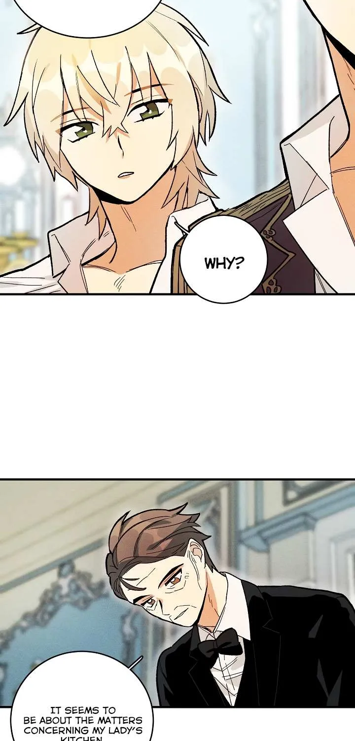 The Young Lady Is A Royal Chef Chapter 9 page 13 - 