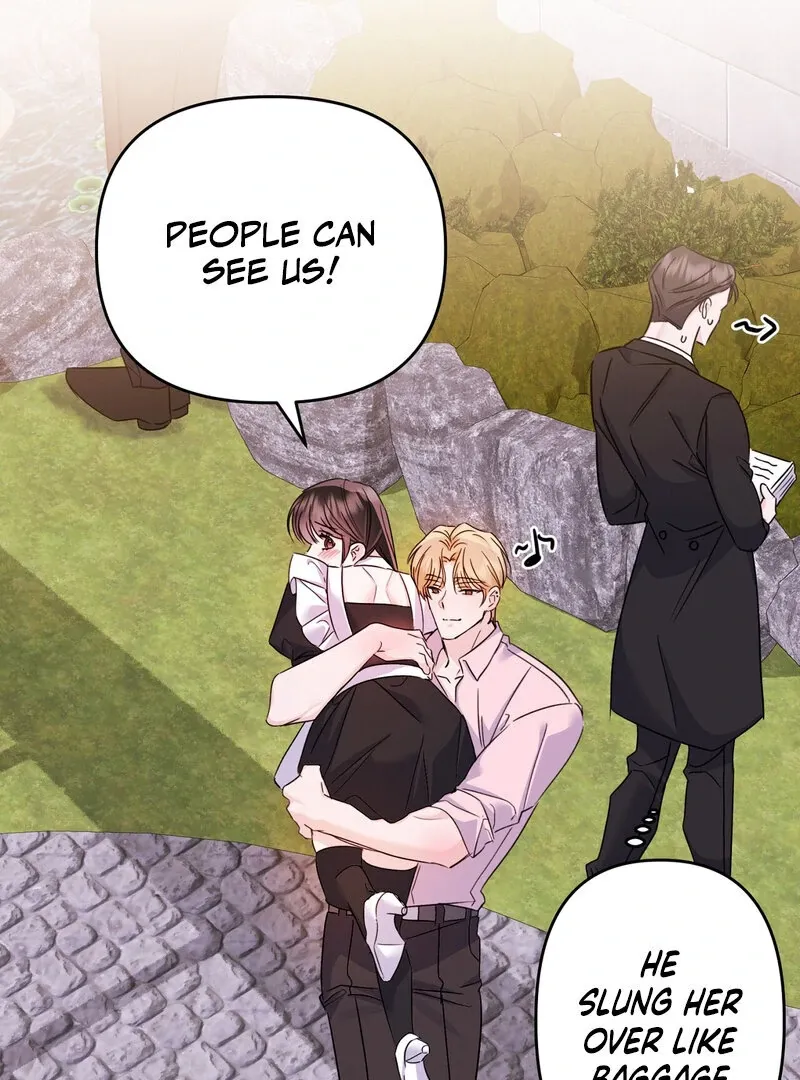 The Young Master Wants to Devour the Maid! Chapter 3 page 17 - 