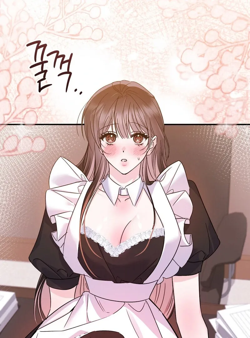 The Young Master Wants to Devour the Maid! Chapter 3 page 22 - 