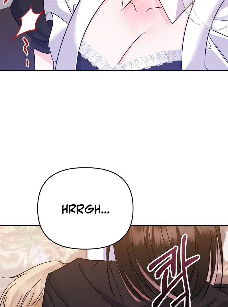 The Young Master Wants to Devour the Maid! Chapter 3 page 66 - 