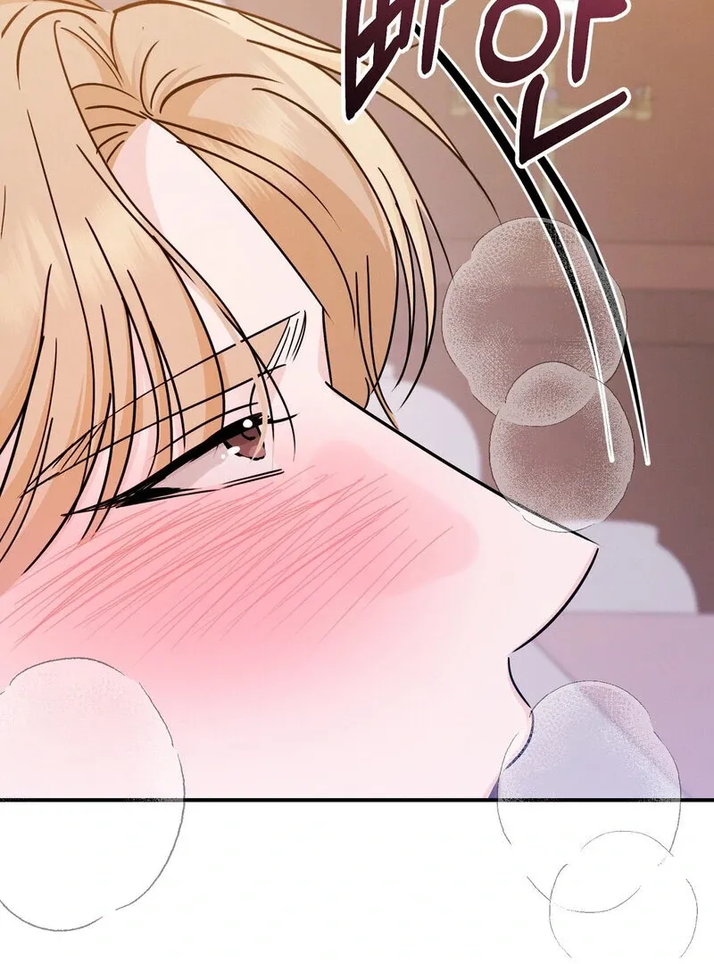 The Young Master Wants to Devour the Maid! Chapter 3 page 71 - 