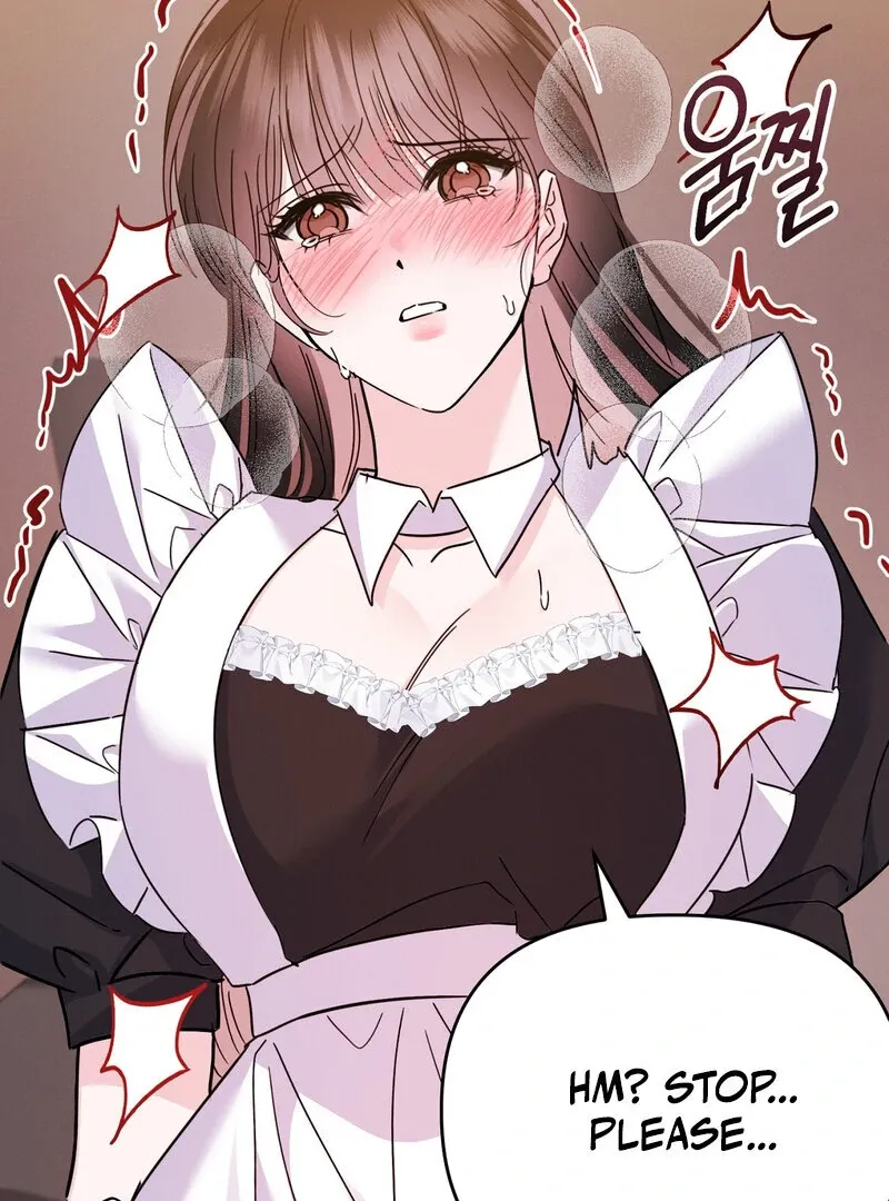 The Young Master Wants to Devour the Maid! Chapter 3 page 73 - 