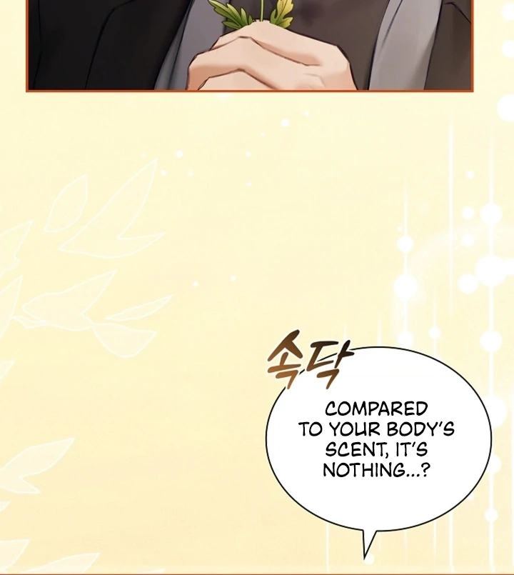 The Young Wife Chapter 40 page 74 - 