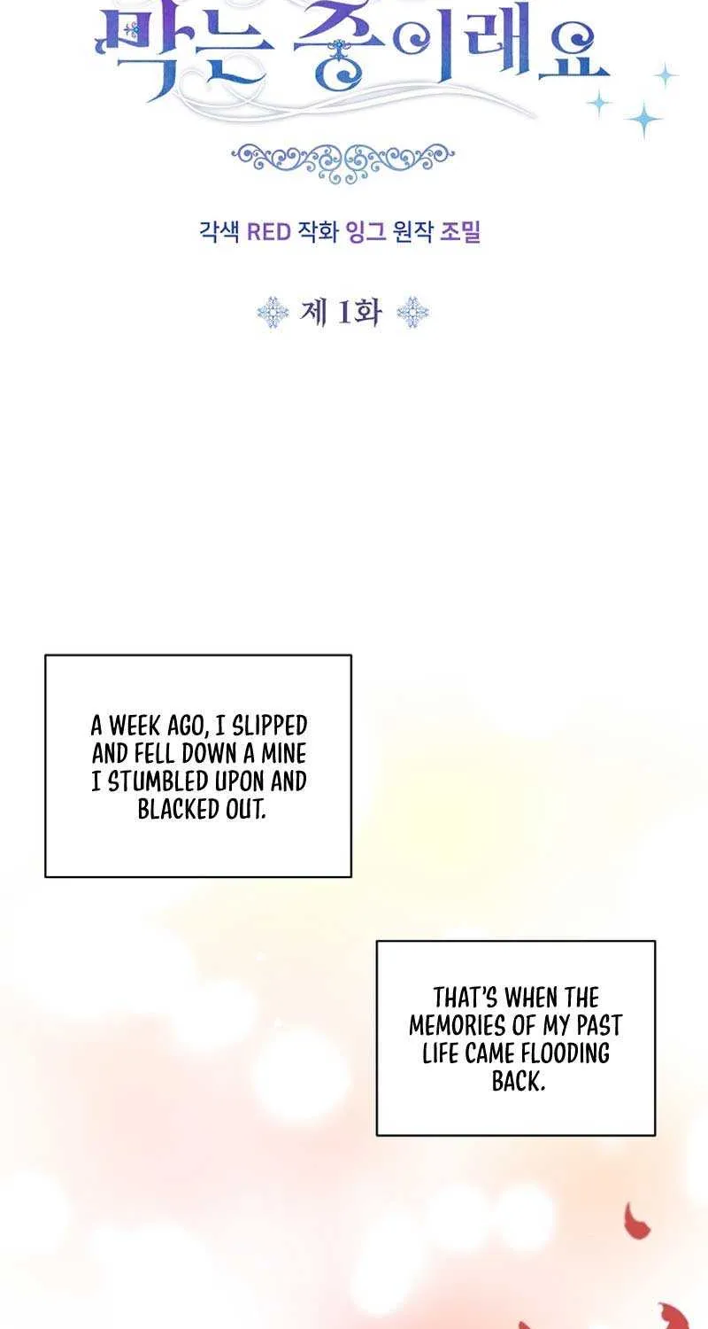 The Youngest Child of the Family Is Preventing the World From Ending Chapter 1 page 8 - 