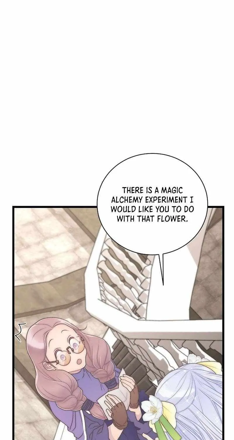 The Youngest Child of the Family Is Preventing the World From Ending Chapter 12 page 8 - 