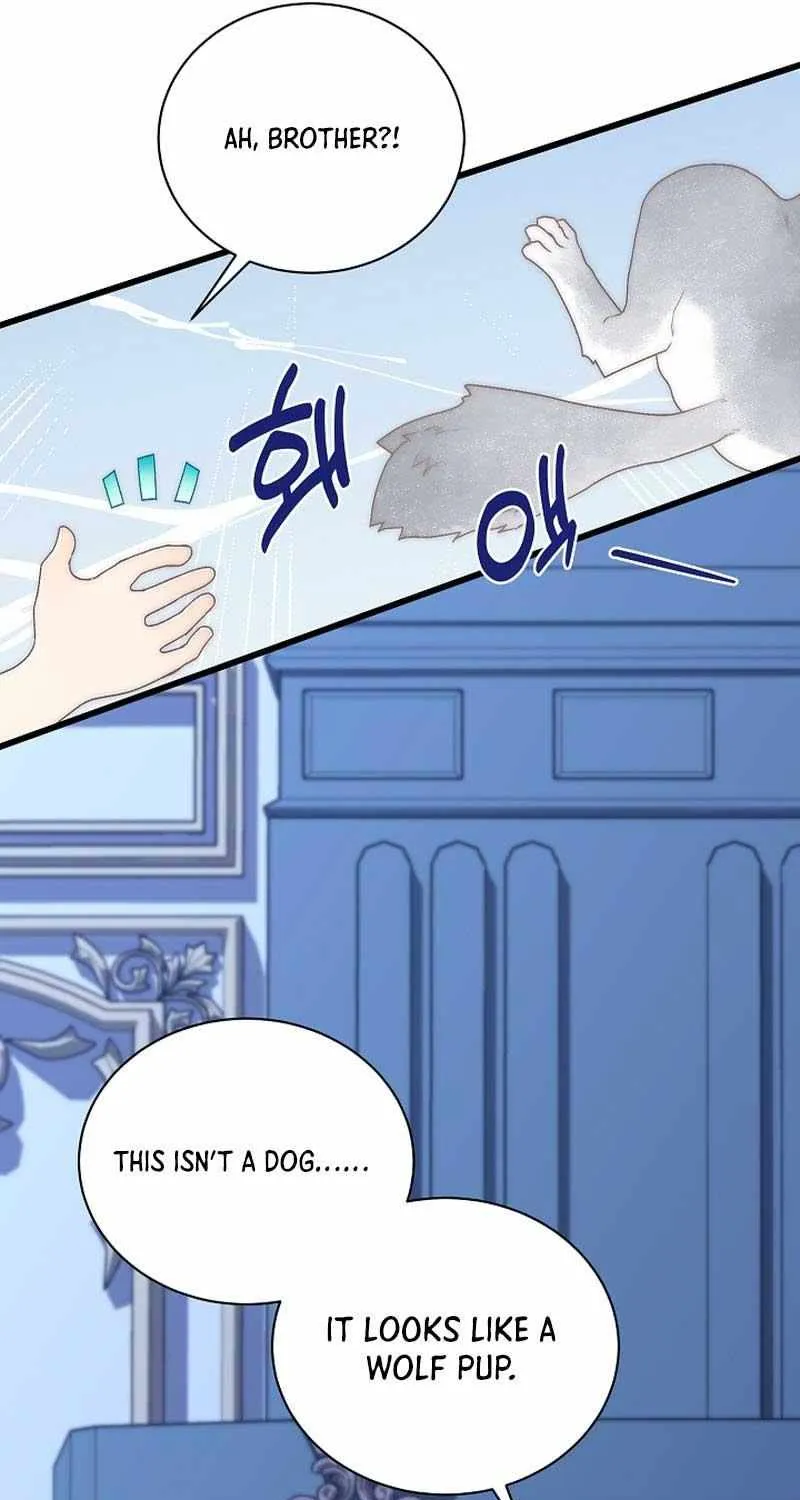 The Youngest Child of the Family Is Preventing the World From Ending Chapter 15 page 12 - 