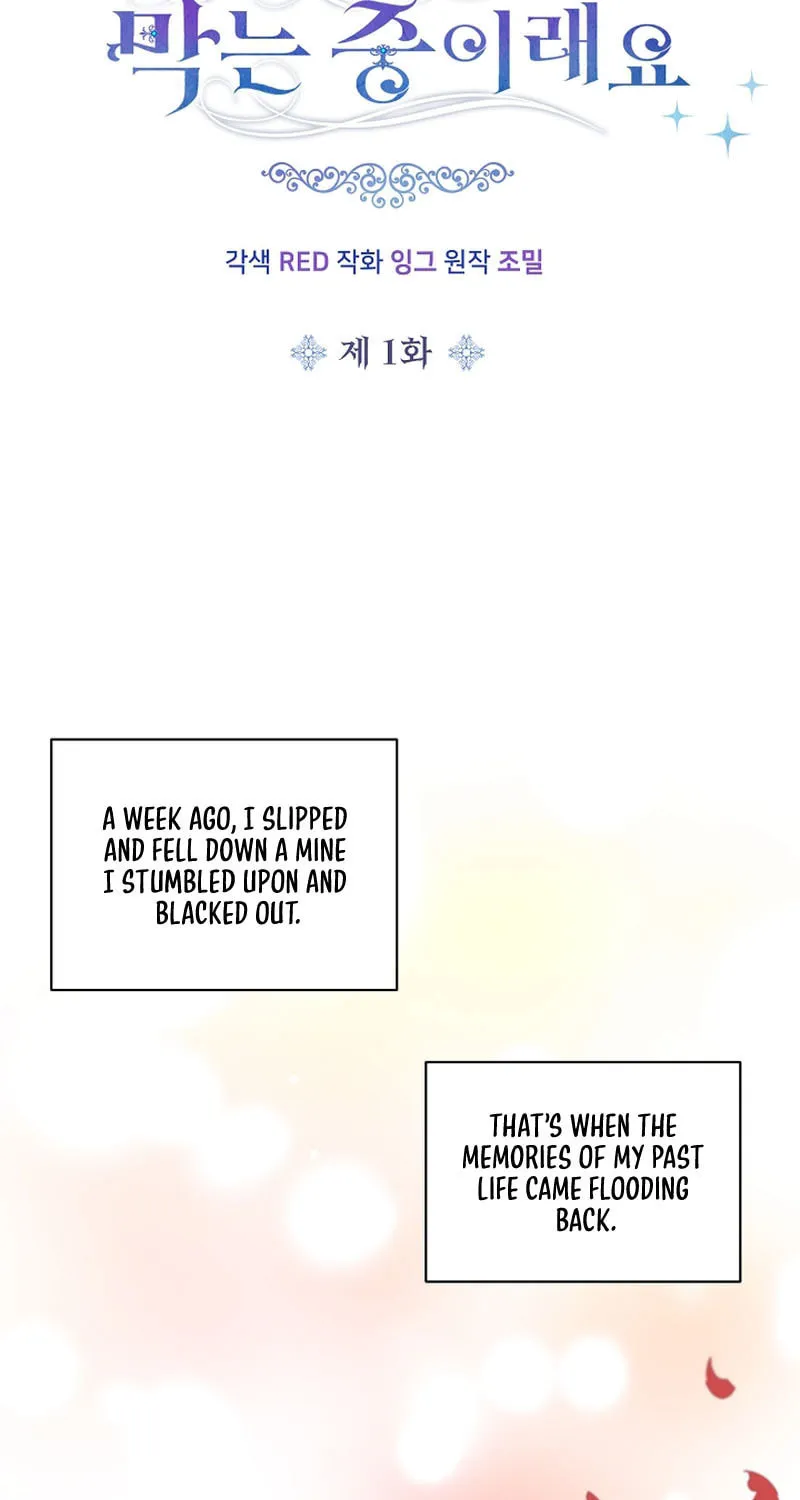 The Youngest Is Preventing the End of the World Chapter 1 page 9 - 