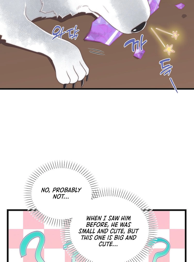 The Youngest Is Trying To Prevent the World From Ending Chapter 14 page 23 - 