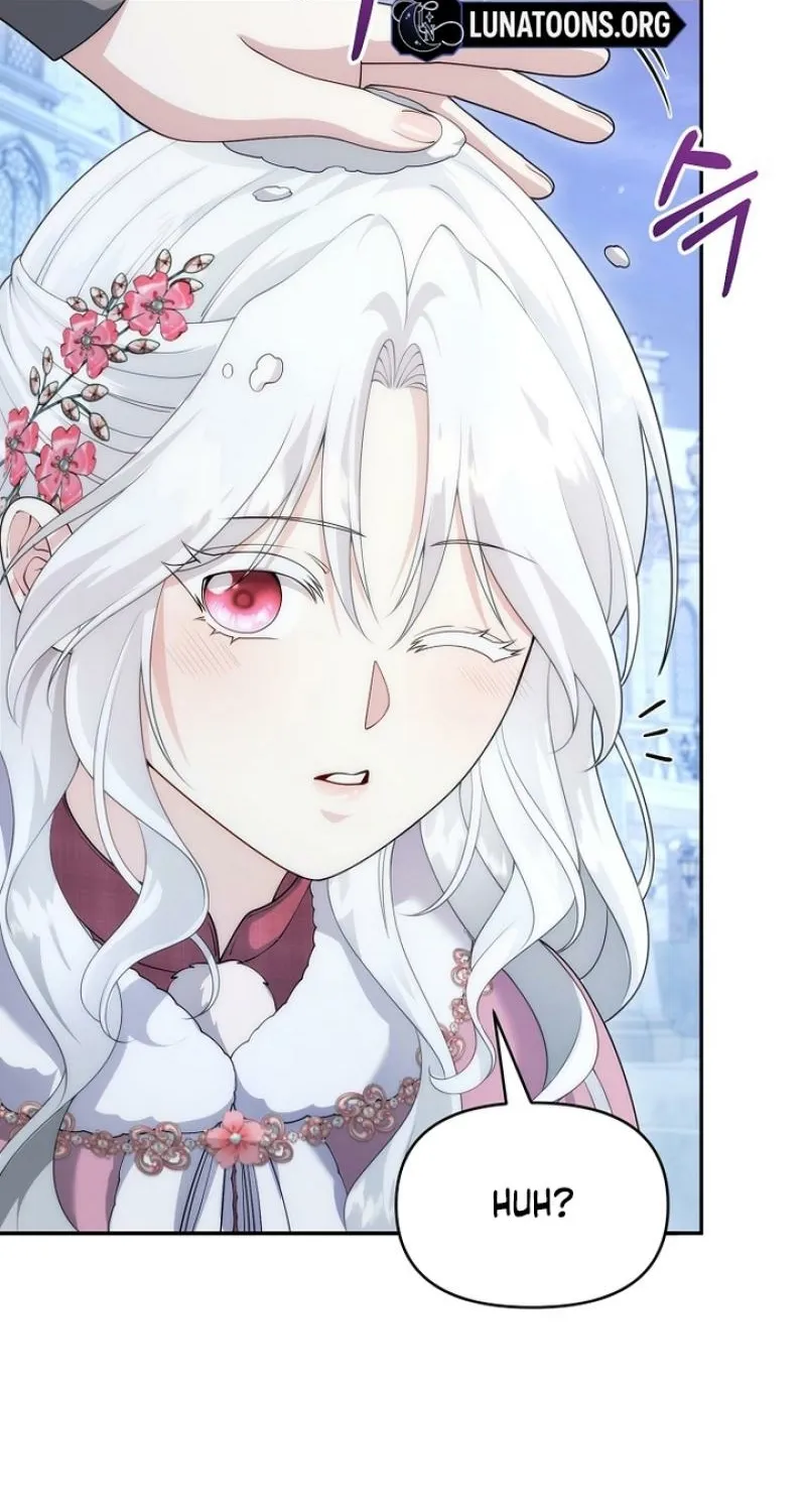 The Youngest Princess of the Northern Duke