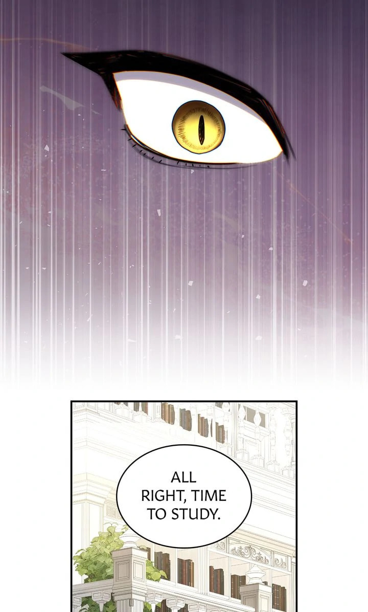 Their Obsession Will Ruin Me Chapter 26 page 33 - 
