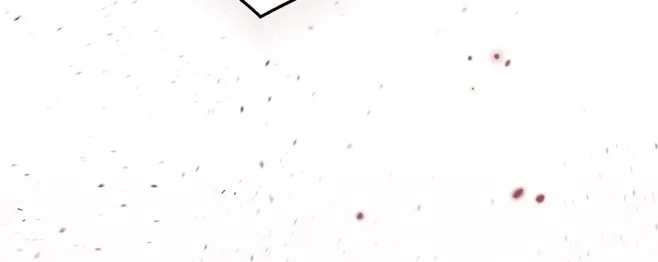 There Are No Bad Military Dogs in the World Chapter 3 page 58 - 