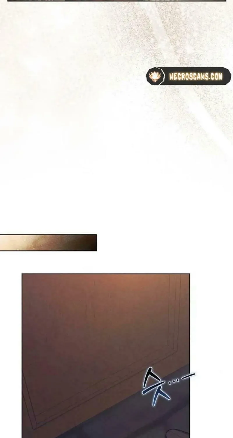 There Are No Benefits for the Possessor Chapter 16 page 21 - 