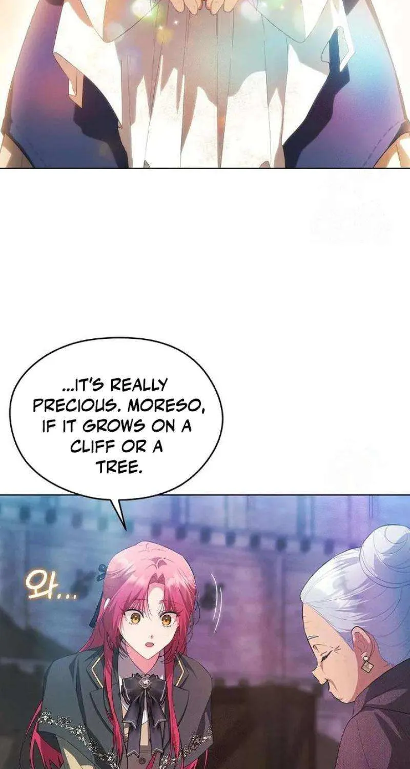 There Are No Benefits for the Possessor Chapter 23 page 61 - 