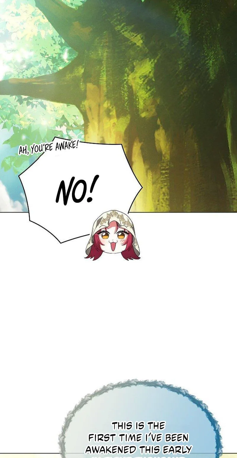 There Are No Benefits for the Possessor Chapter 57 page 14 - 