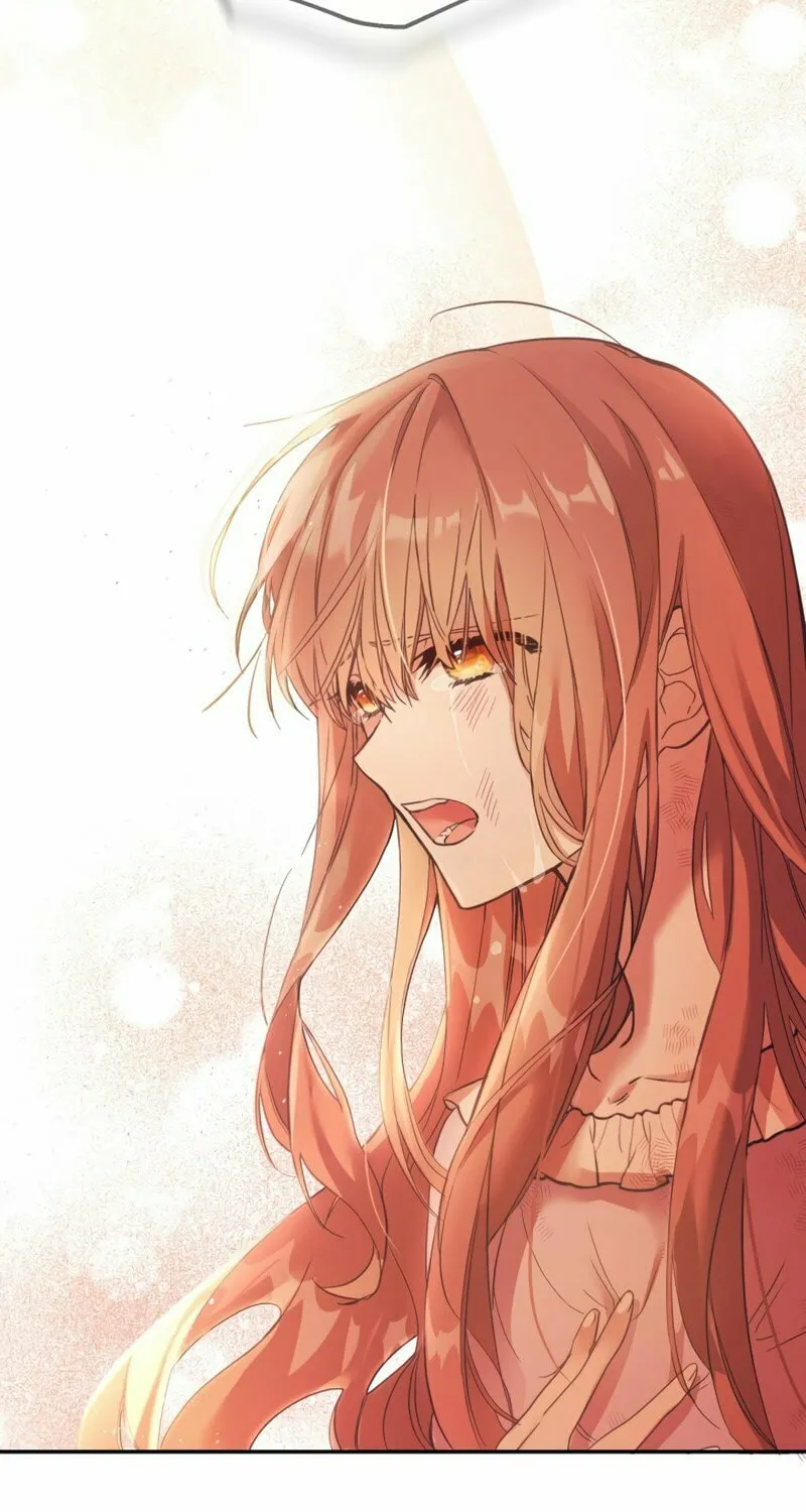 There Is No Place for Fakes Chapter 1 page 26 - 