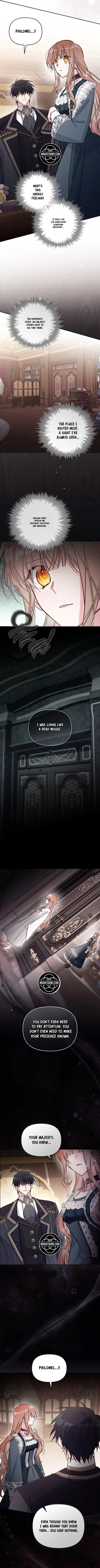There Is No Place for Fakes Chapter 114 page 11 - 