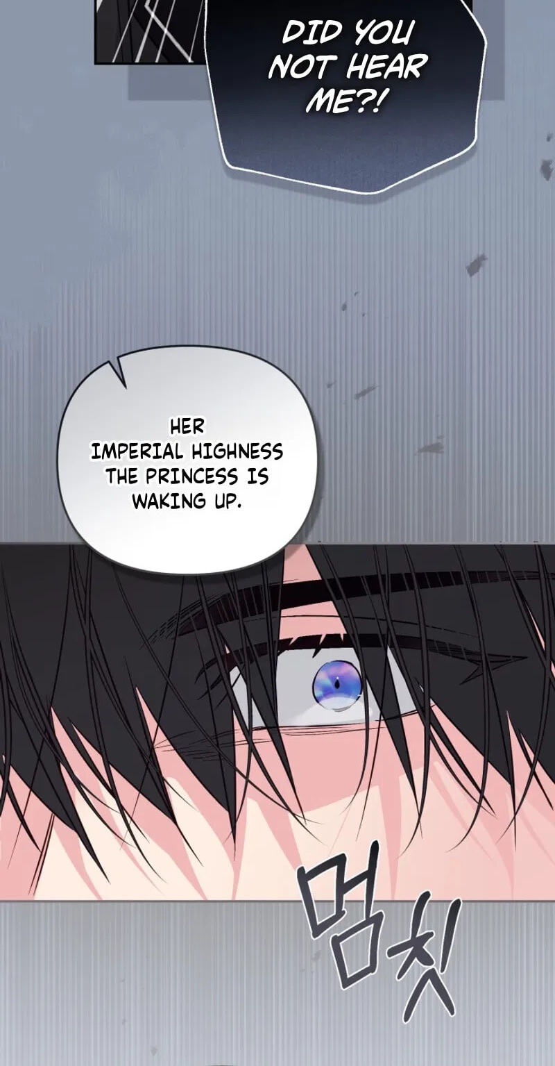There Is No Place for Fakes Chapter 116 page 21 - 