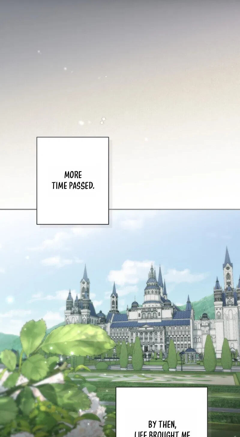 There Is No Place for Fakes Chapter 116 page 44 - 
