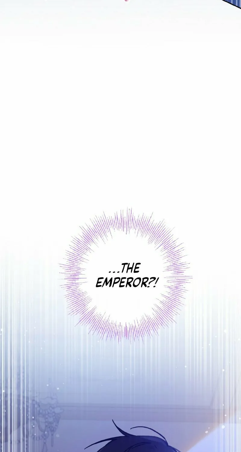 There Is No Place for Fakes Chapter 14 page 15 - 