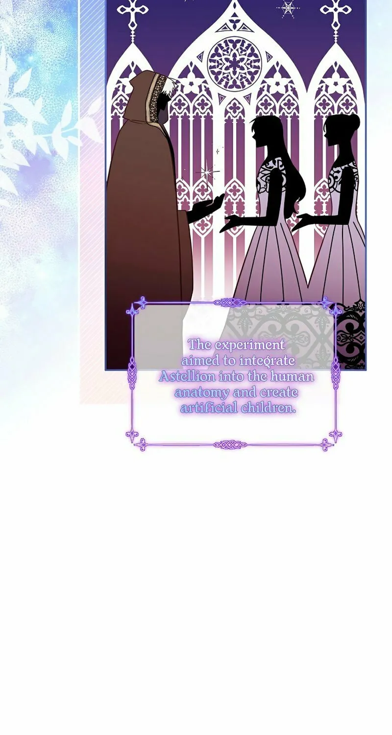There Is No Place for Fakes Chapter 24 page 8 - 