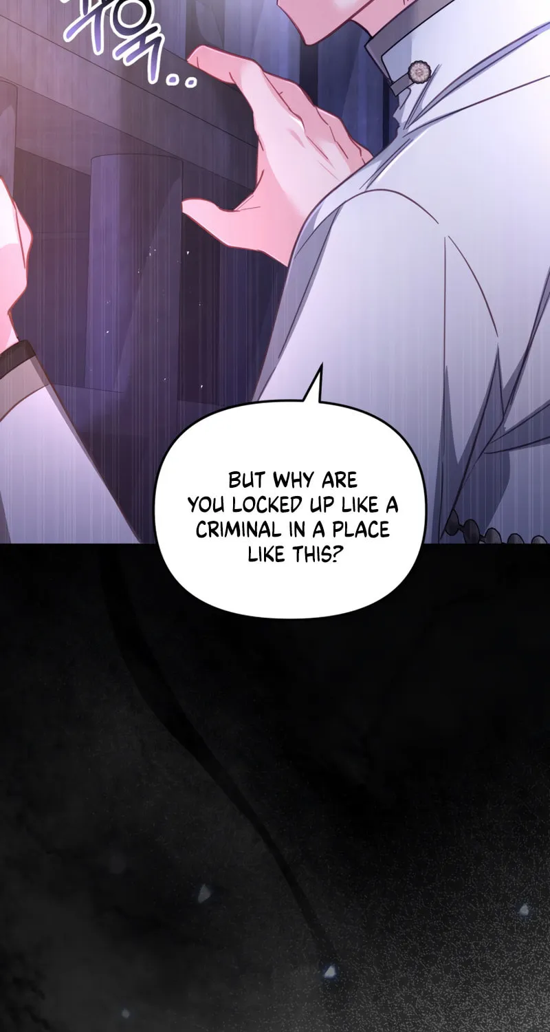 There Is No Place for Fakes Chapter 27 page 5 - 