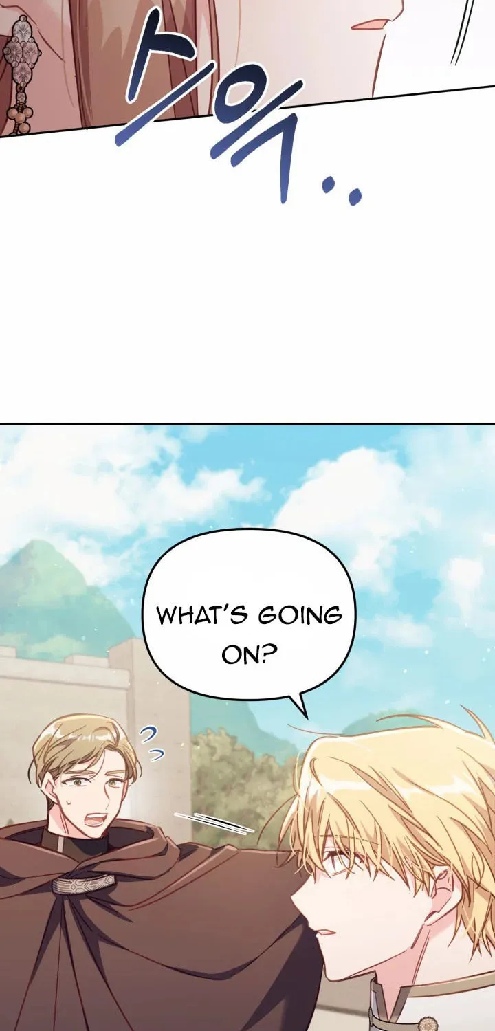 There Is No Place for Fakes Chapter 28.5 page 24 - 