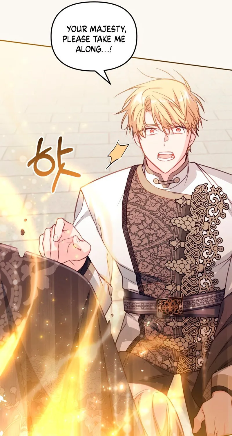 There Is No Place for Fakes Chapter 29 page 14 - 