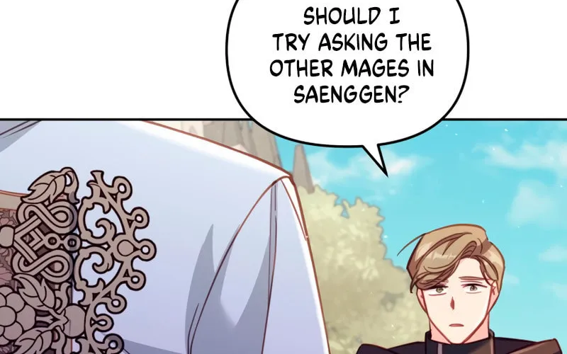 There Is No Place for Fakes Chapter 29 page 33 - 