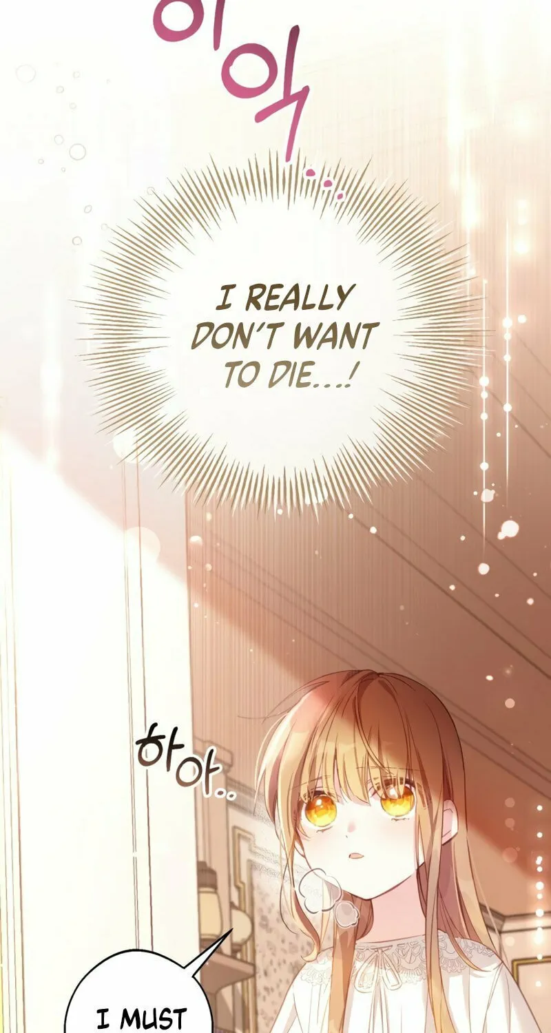 There Is No Place for Fakes Chapter 3 page 23 - 