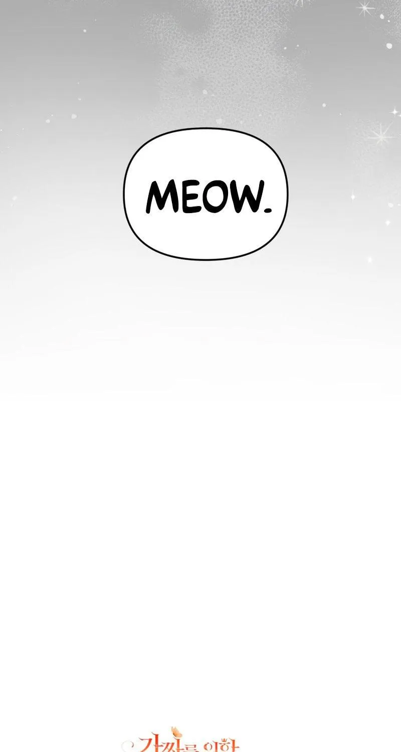 There Is No Place for Fakes Chapter 31 page 145 - 