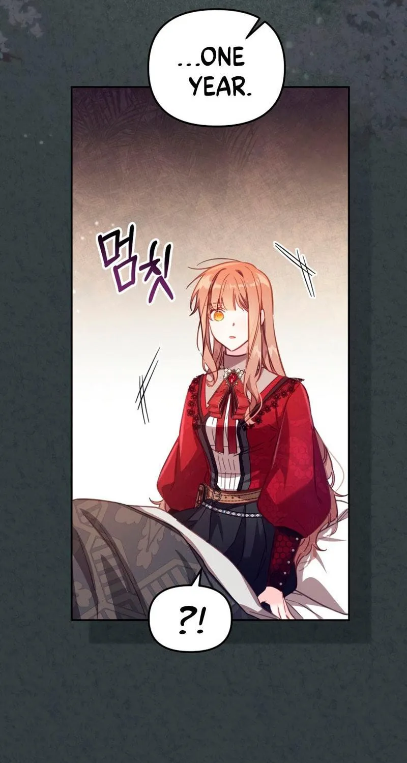 There Is No Place for Fakes Chapter 31 page 27 - 