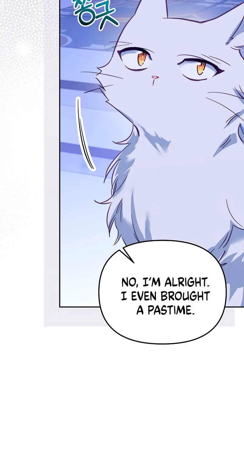 There Is No Place for Fakes Chapter 32 page 24 - 