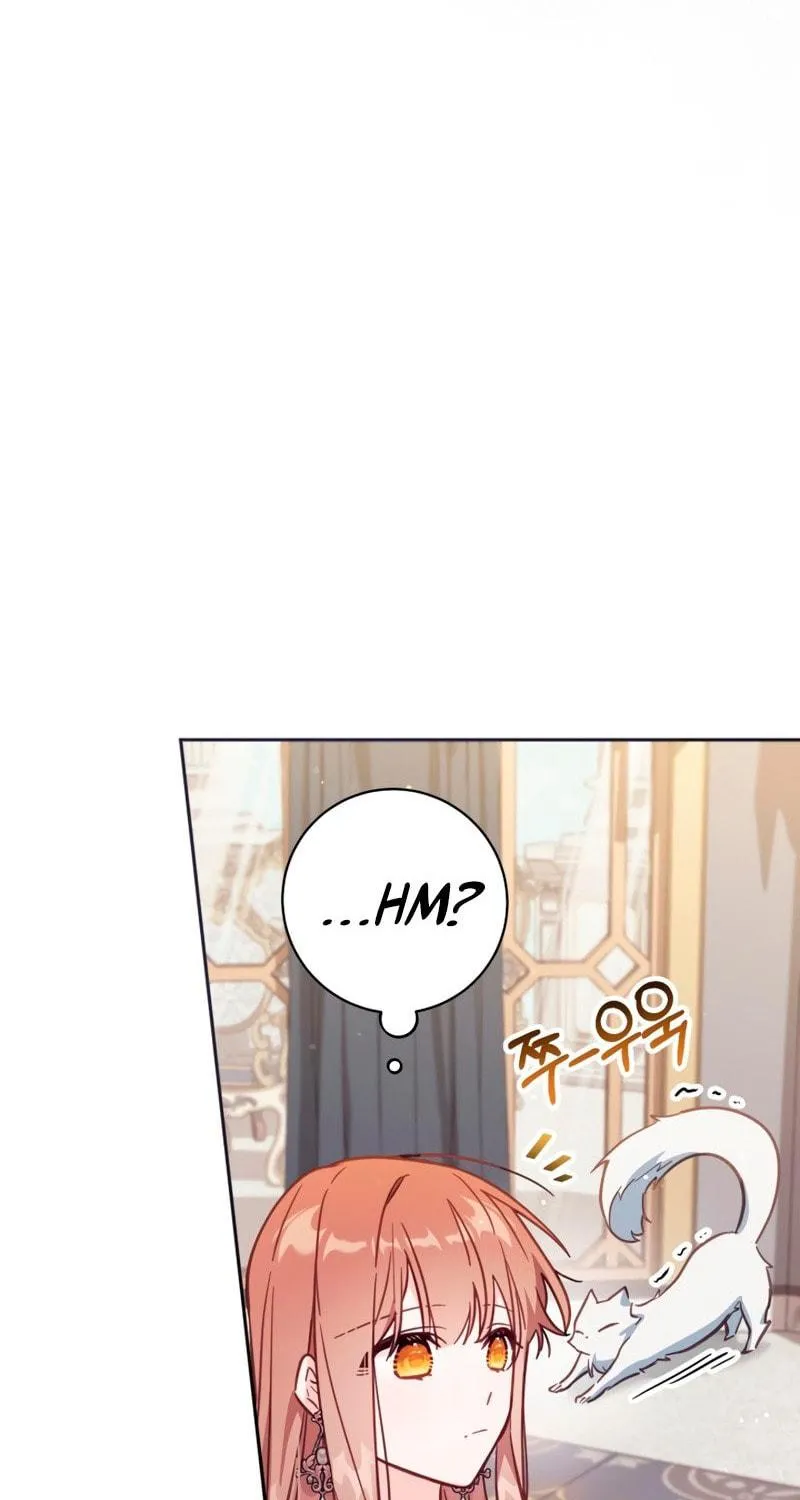 There Is No Place for Fakes Chapter 33 page 82 - 