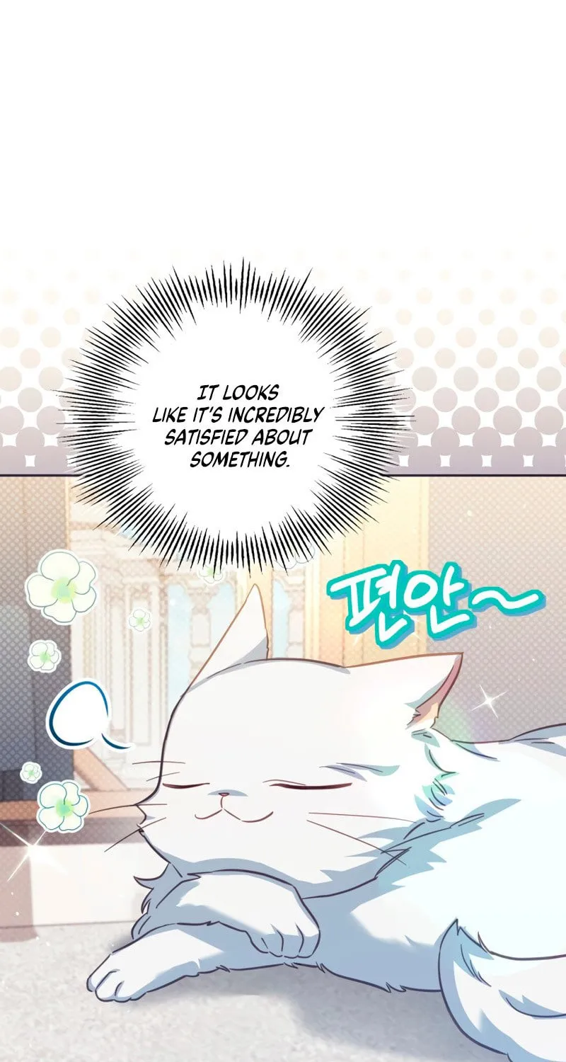 There Is No Place for Fakes Chapter 33 page 84 - 