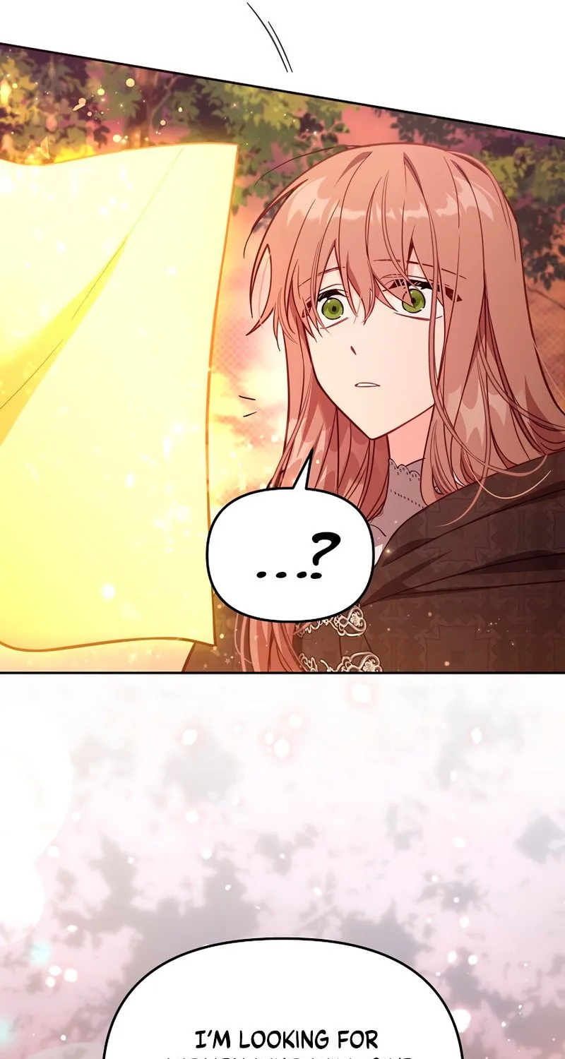 There Is No Place for Fakes Chapter 36 page 14 - 