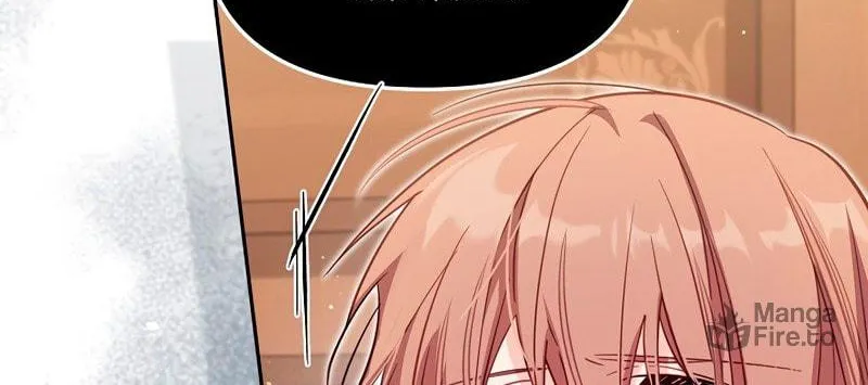 There Is No Place for Fakes Chapter 36 page 29 - 