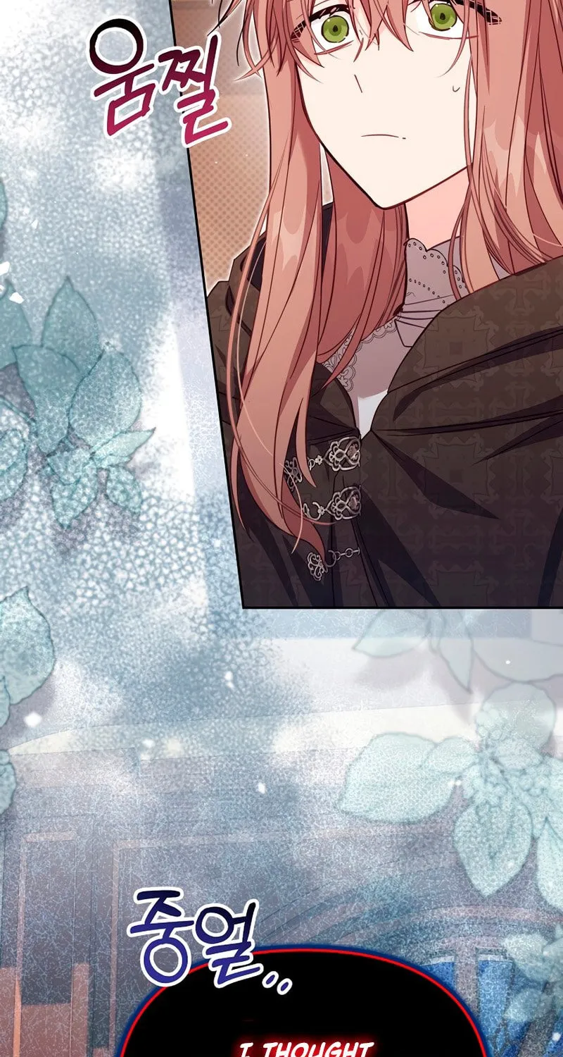 There Is No Place for Fakes Chapter 36 page 30 - 