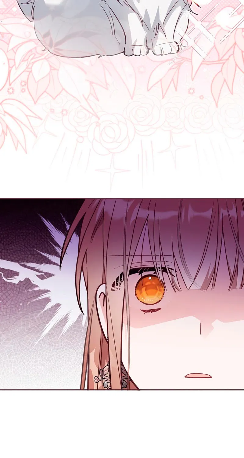 There Is No Place for Fakes Chapter 38 page 24 - 