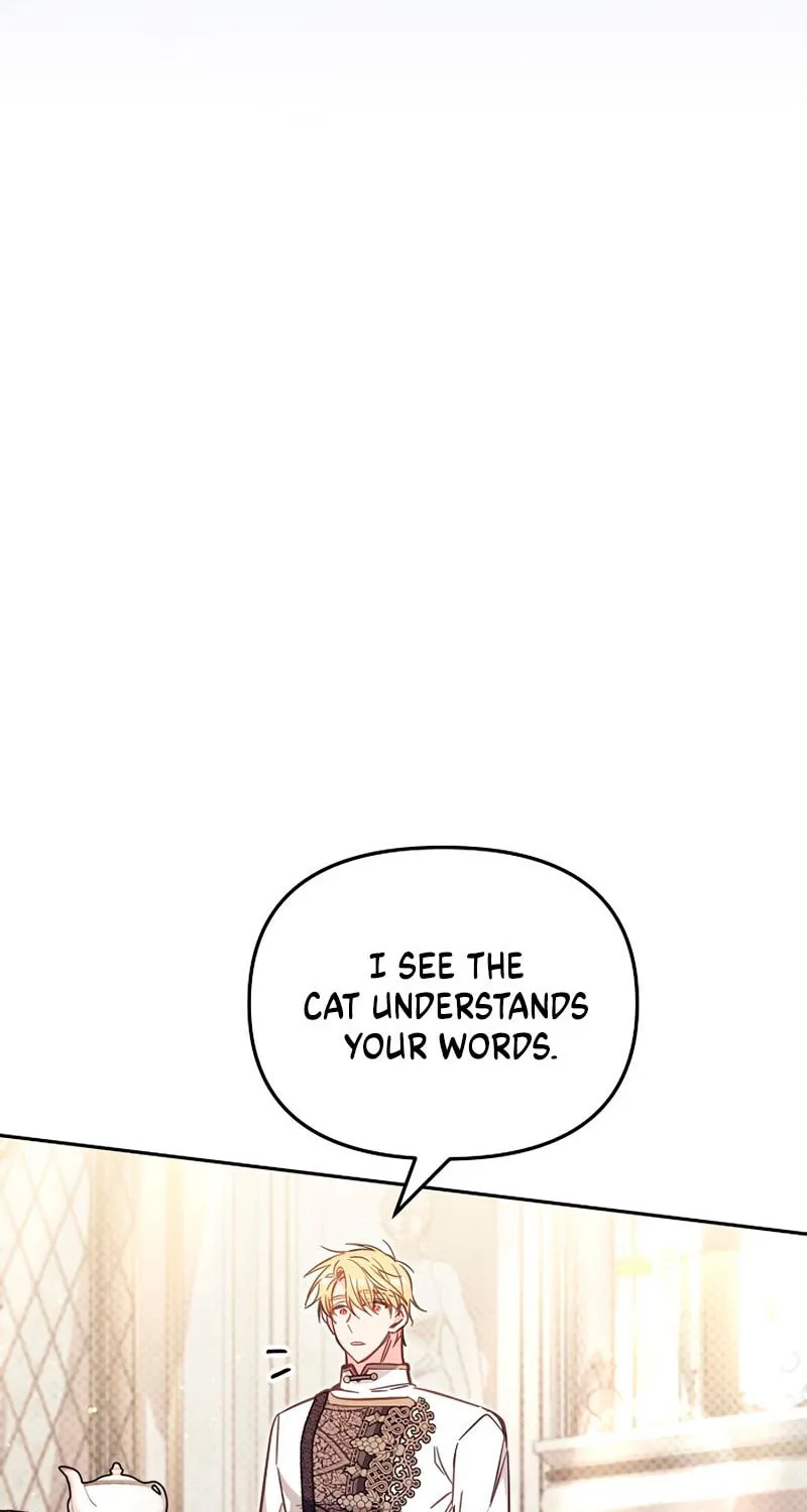 There Is No Place for Fakes Chapter 39 page 59 - 