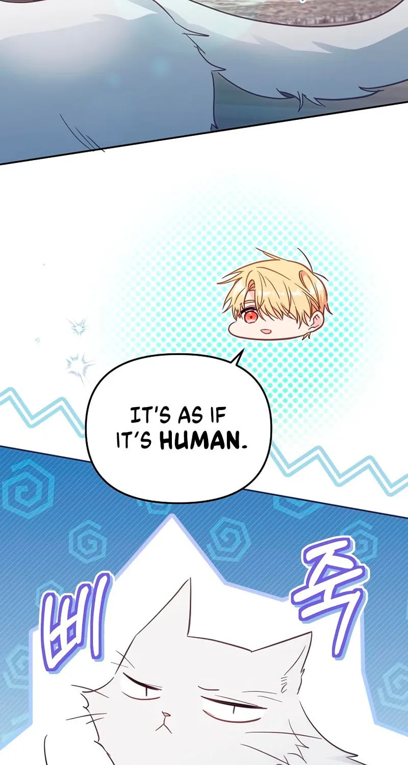 There Is No Place for Fakes Chapter 39 page 61 - 