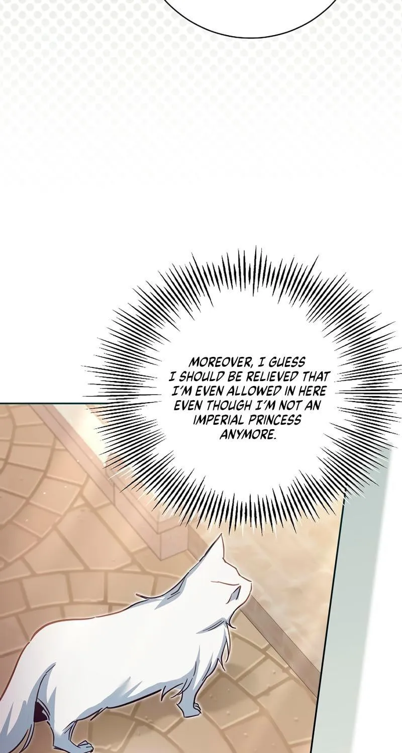 There Is No Place for Fakes Chapter 40 page 64 - 