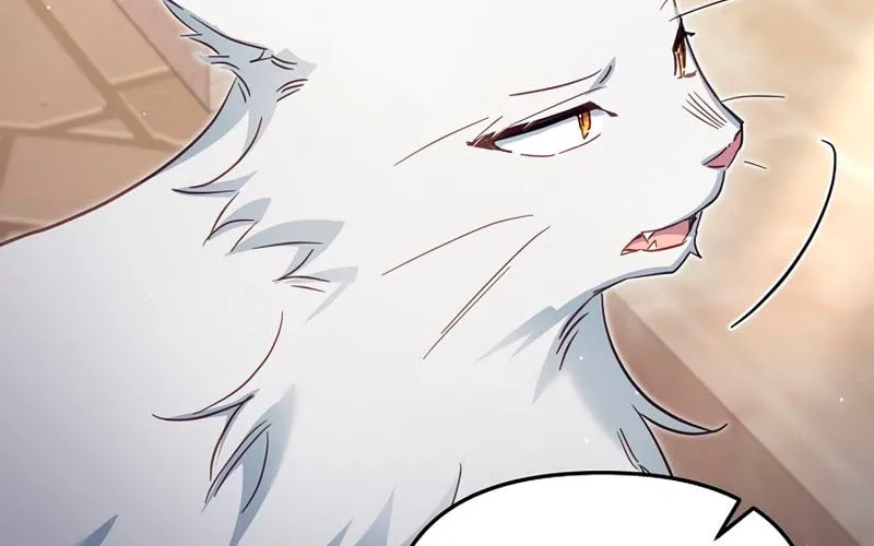 There Is No Place for Fakes Chapter 40 page 67 - 