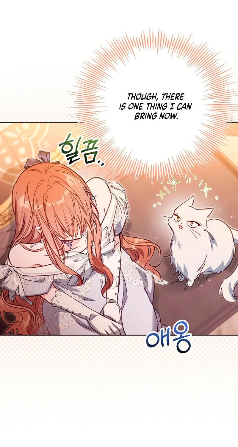 There Is No Place for Fakes Chapter 44 page 136 - 