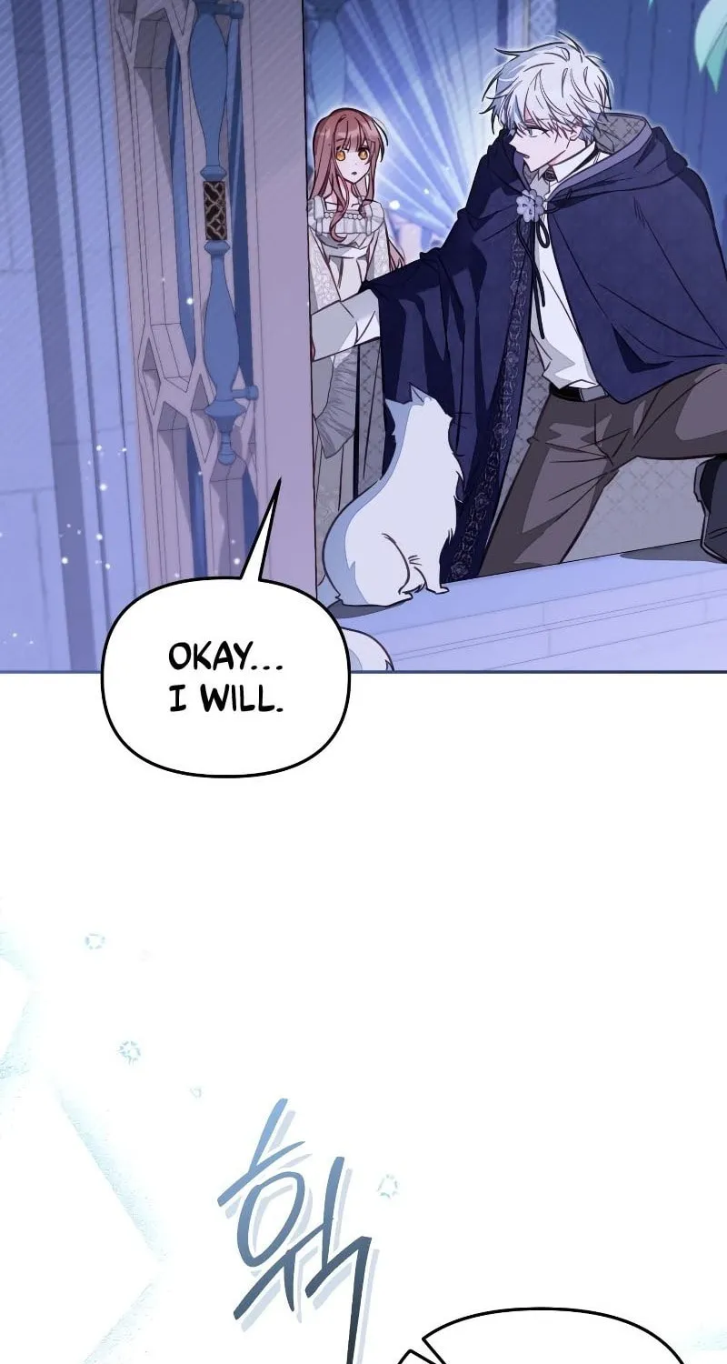There Is No Place for Fakes Chapter 47 page 59 - 